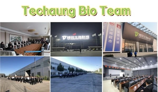 product-600-350 product-600-350